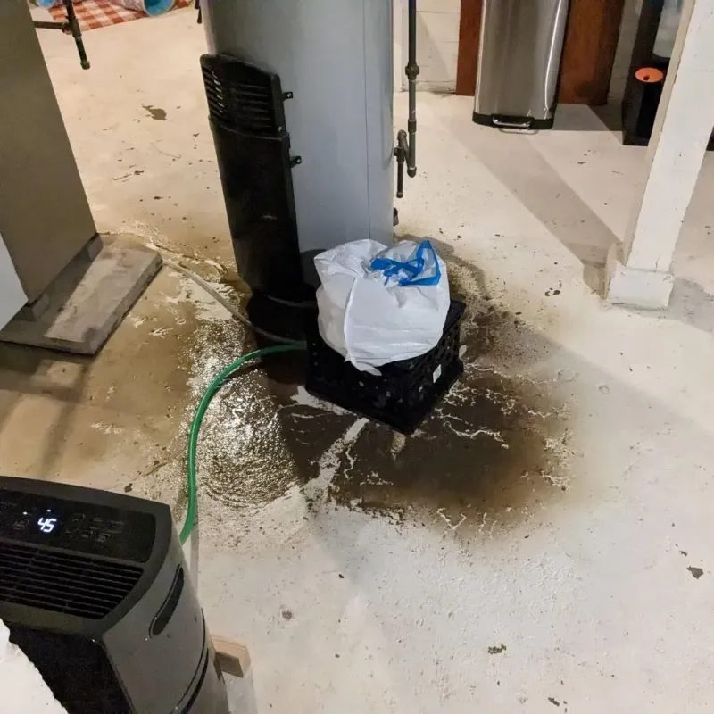 Sewage Backup Cleanup Service in Highland Lake, NJ